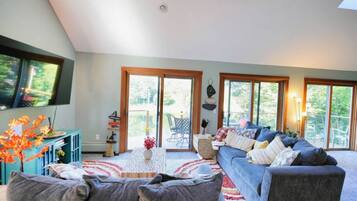 Télévision, cheminée, chaßne hi-fi