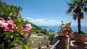 A terrace with potted plants and a view of the sea.