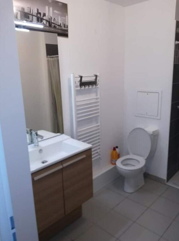 Shower, towels, soap, toilet paper