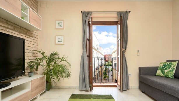A living room with a TV, sofa, and plants. - Castilla 75, Apartment 2 bedrooms 2nd Floor (Sevilla)
