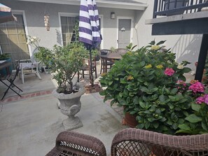Un patio con sillas de mimbre, una mesa, una planta en maceta y un parasol.