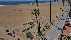Ein Strand mit Palmen, einem sandigen Ufer und einem gepflasterten Weg.