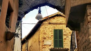 A narrow stone staircase leading to a building with a wooden door and green shutters.