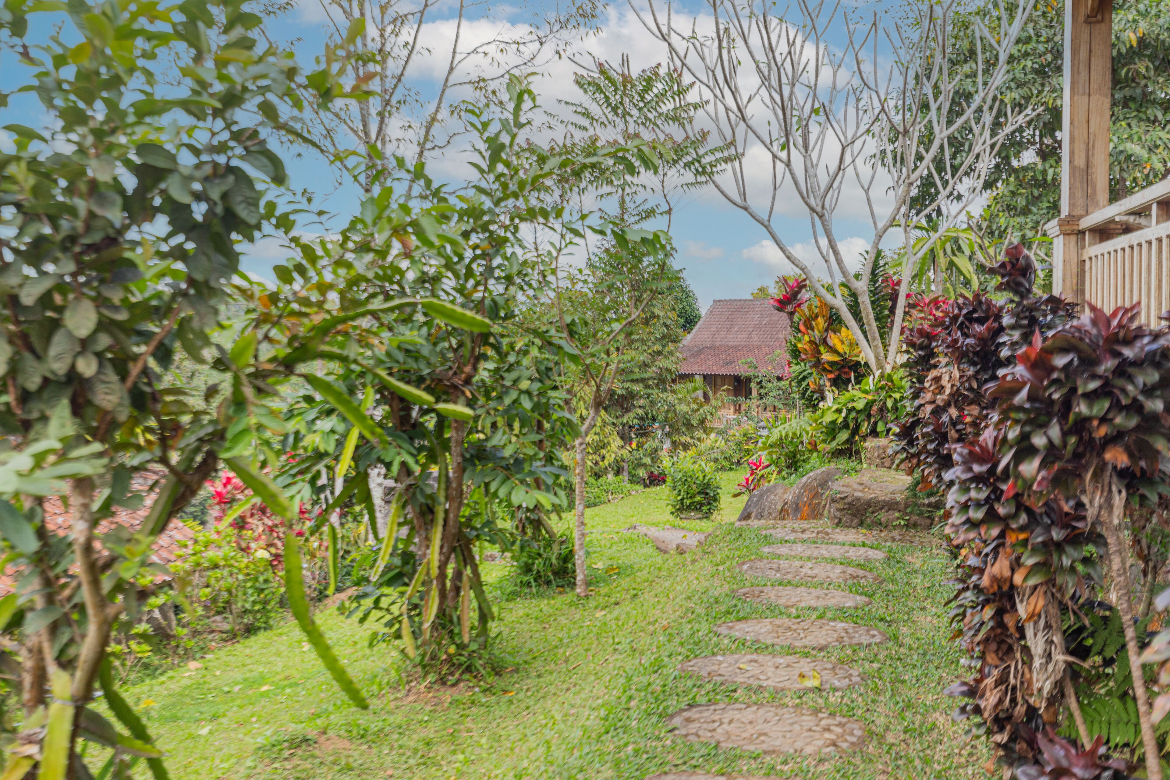 テント | 施設の敷地