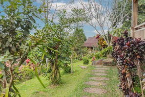 Tent | Property grounds