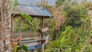 Une structure rustique en bois, surmontée d’un toit en métal, entourée d’une végétation luxuriante et avec une montagne en arrière-plan.