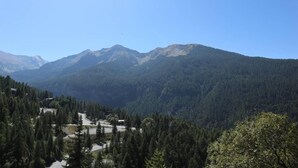 A mountainous landscape with dense forests and a few buildings in the valley. - Ski-in/ski-out & foot of the slopes, 3rd floor, balcony, tv, ski locker, 30m², Les Orres (Les Orres)