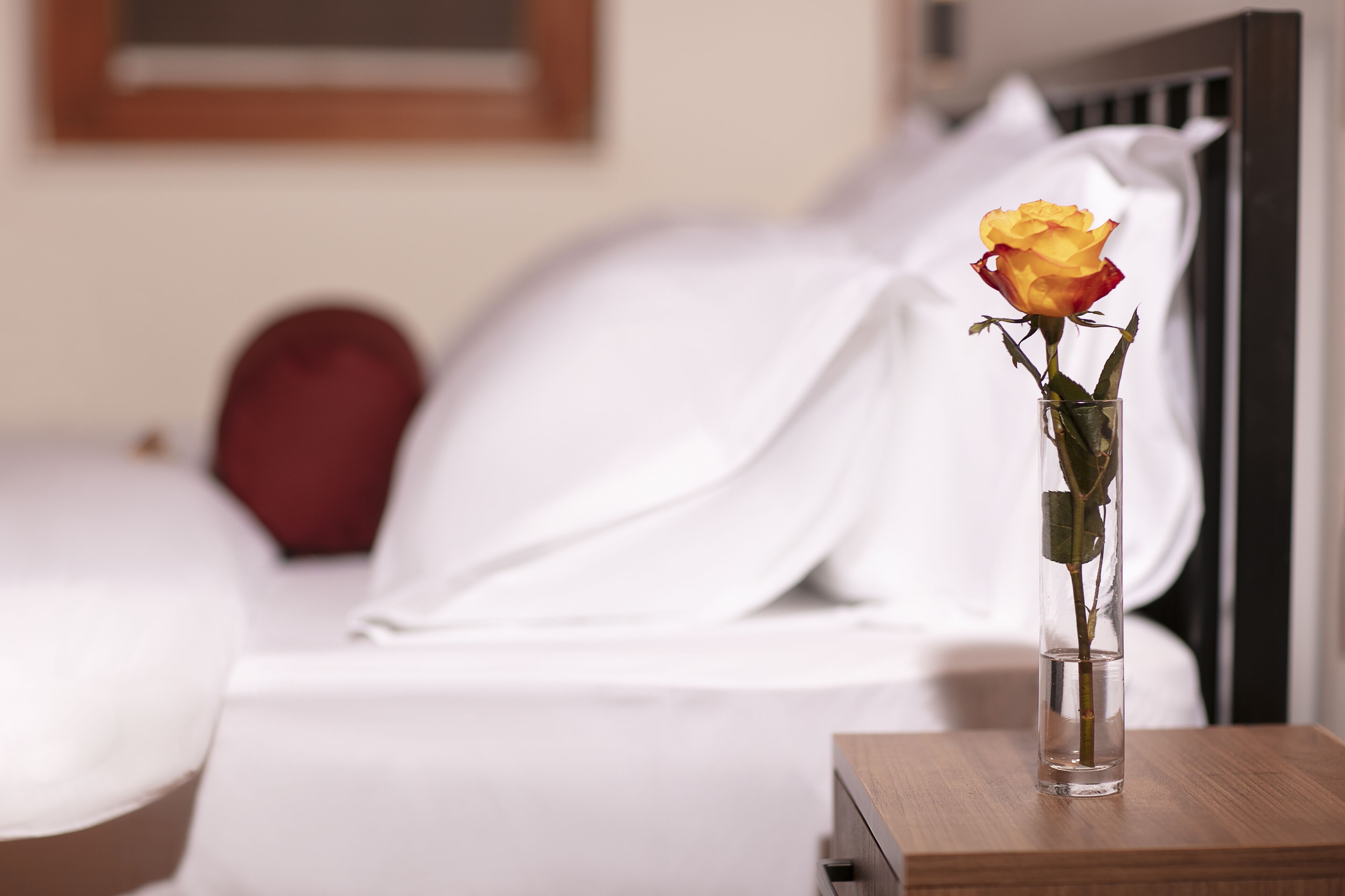 Photo - Grand Boutique Hotel