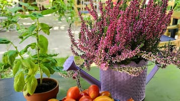 A table with a plate of tomatoes and two potted plants.