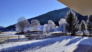Àrea exterior de l'allotjament