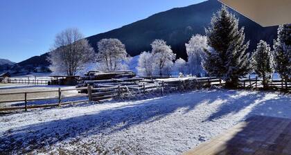 Luxusvilla 2-10 Personen, Sauna auf 1075m Höhe im snowy Lungau, zentral, ruhig!