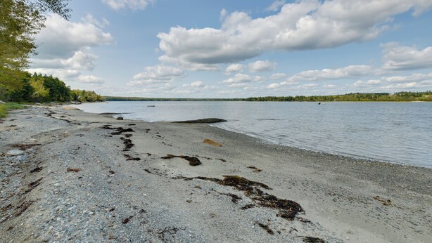 Une plage avec un rivage rocheux et une étendue d’eau calme.