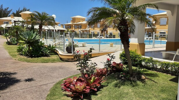 Un espace piscine avec des chaises longues, des palmiers et un ciel d’un bleu éclatant.