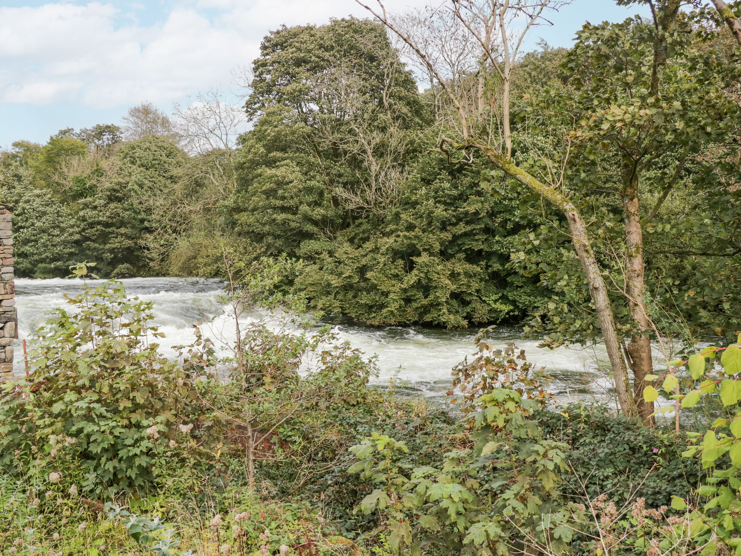 A river flowing through a densely wooded area with a stone wall on the left.