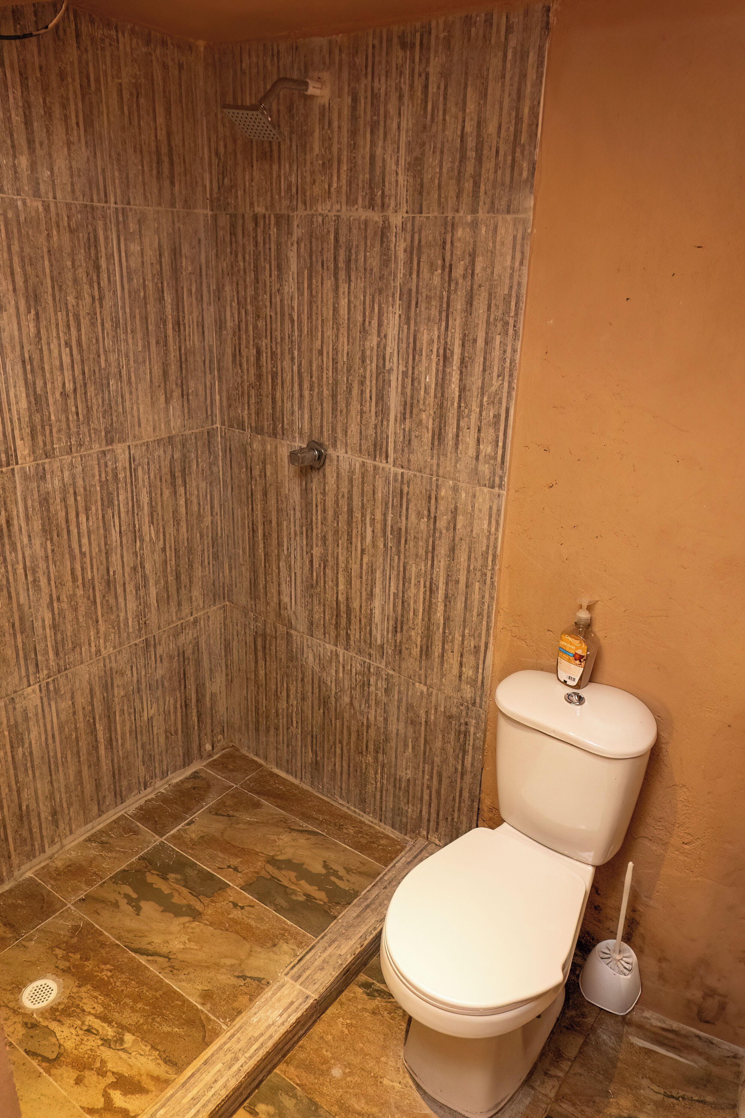 A bathroom with a shower, toilet, and a toilet brush.