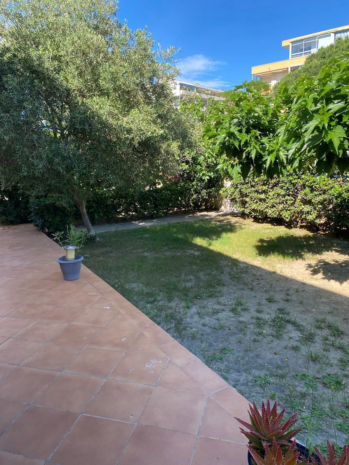 A patio area with a tiled floor, surrounded by various plants and trees.