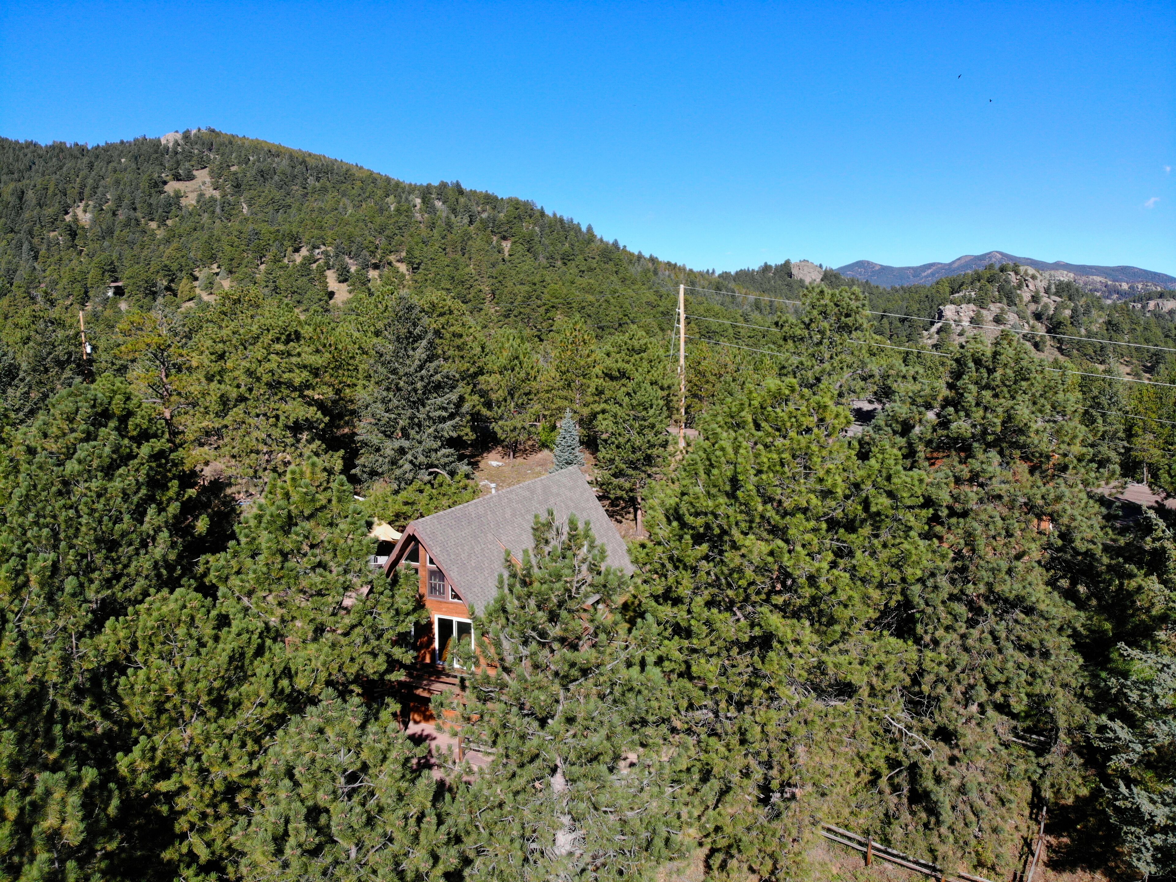 Woodhaven Evergreen Retreat