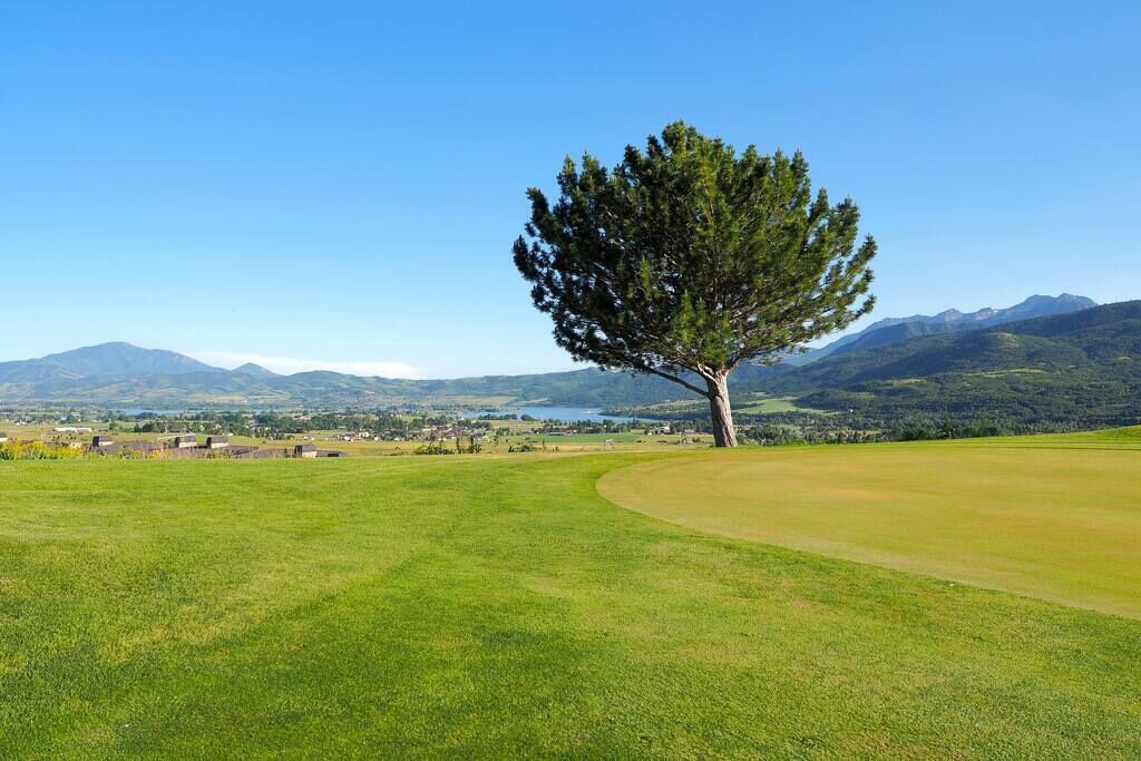 Un campo de golf con un árbol solitario y montañas a lo lejos.