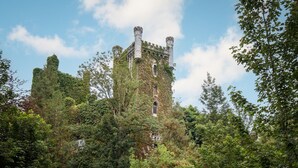 Une tour historique entourée d’une végétation luxuriante.
