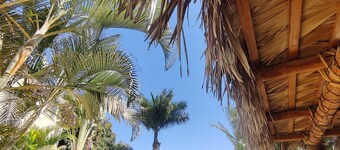 Villa Lunas de Mar, secret spot in Pescadero, sleeps 10, 4 bdrms, pool