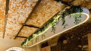 Un espace d’accueil agrémenté d’un mur en pierre rustique, d’un comptoir en bois et d’une plante suspendue.