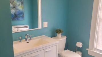 Une salle de bain avec des murs de couleur turquoise, un lavabo blanc et des toilettes. Il y a un miroir au-dessus du lavabo, une plante en pot sur les toilettes et une fenêtre avec des stores.