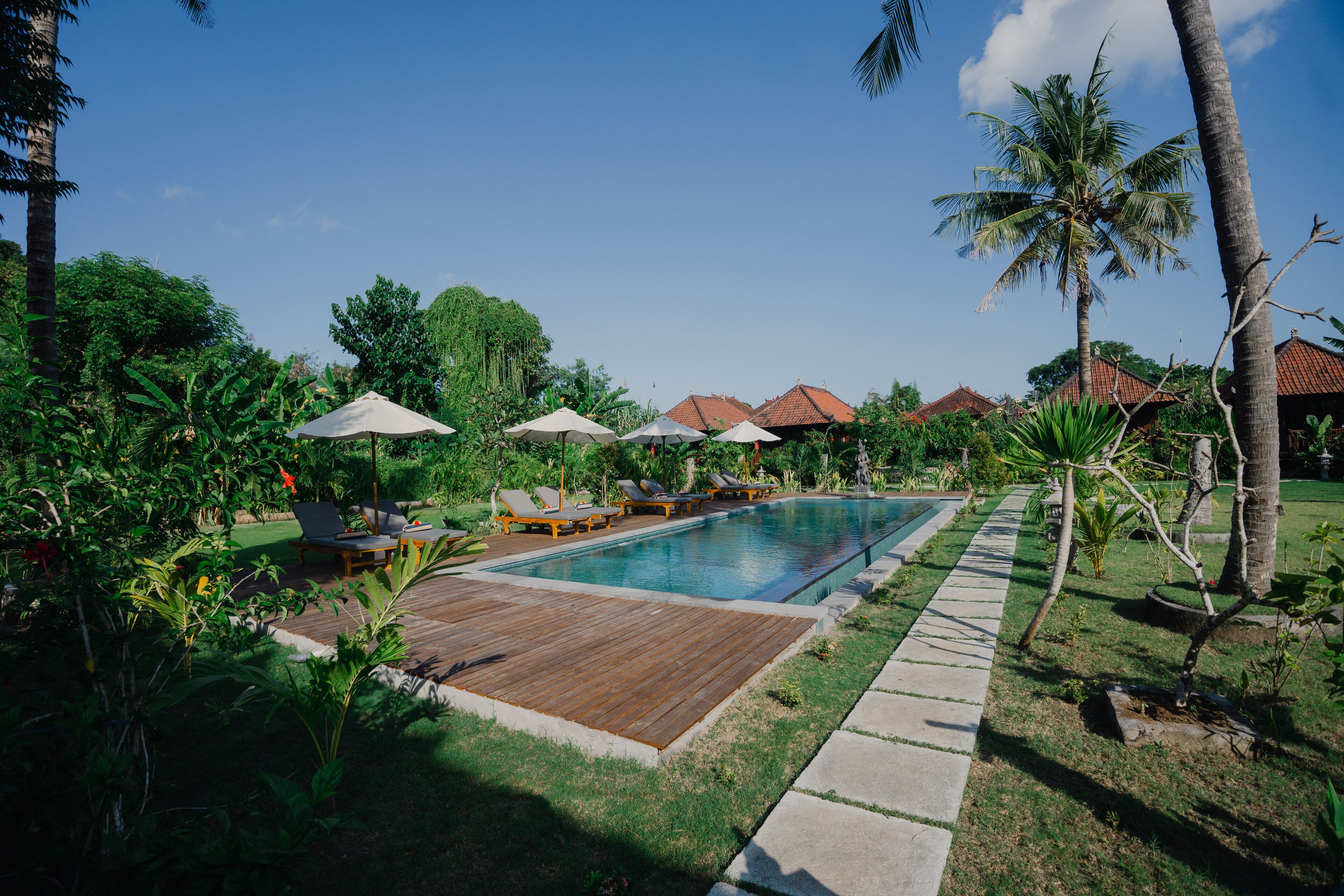 Hồ bơi