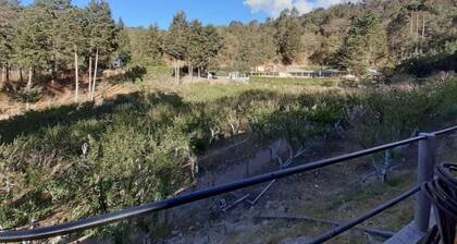 Lomas De Tarragona, Parque De Aguas Termales.