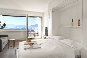 Standard Studio, Mountain View (View and Art)