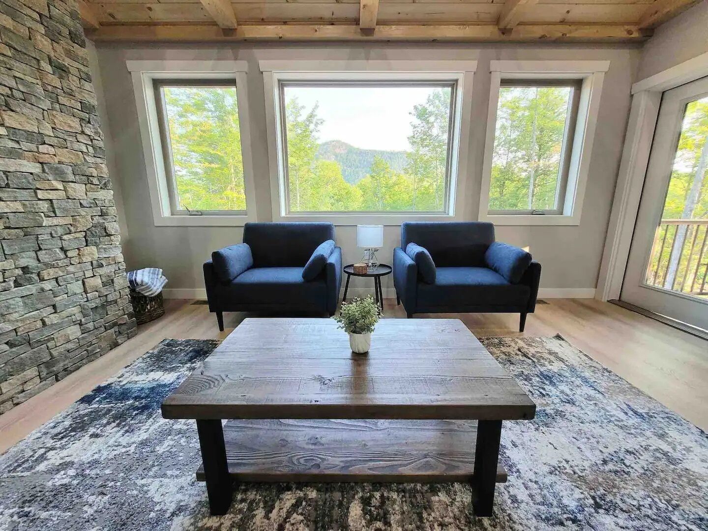 Smart-tv, pejs, bøger