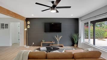 TV