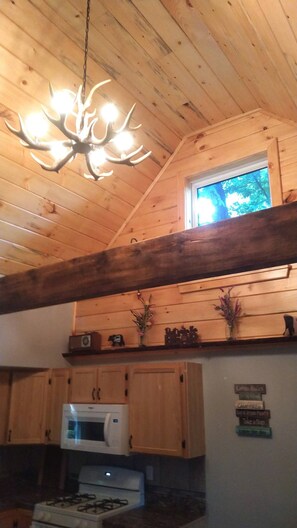 Fridge, microwave, oven, stovetop - Will-Liv Cabin , 2 new cabins for larger family groups (Dansville)