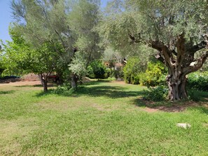 Property grounds - Greek village life by the sea (Marathias)