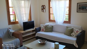 Flatskjerm-TV