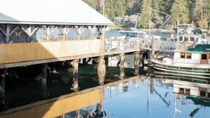 A marina with boats docked, a covered walkway, and a forested hillside in the background.