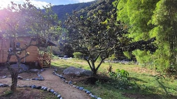 Dış mekân