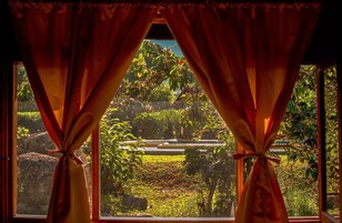 A window with red curtains tied back, revealing a view of a garden with trees and a metal structure.