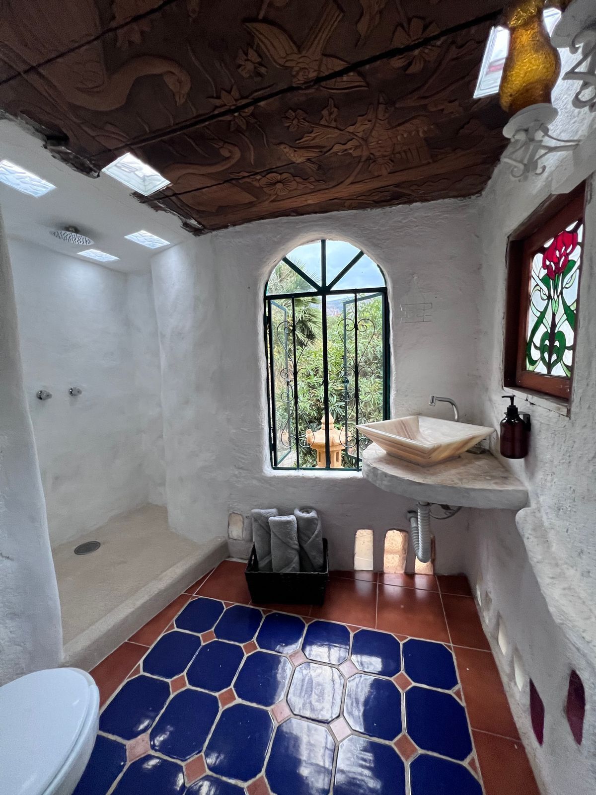 Un bany amb dutxa, un lavabo i un vàter. Hi ha una finestra amb vista a la vegetació exterior.