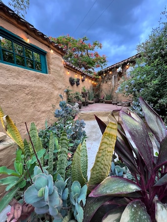 Garden. Casa Gaudí