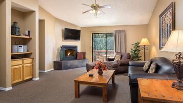 TV, fireplace, video games, DVD player