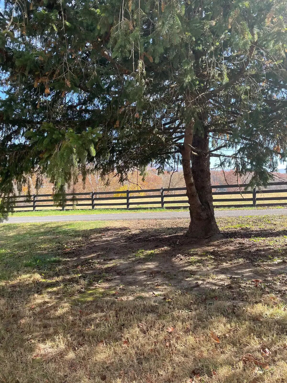 Lady Jane CottageSituated on a 250 Acre Riverfront Historic Farm