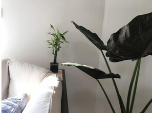 Interiør