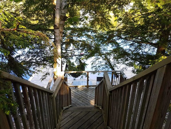 Stroll up the wooden staircase to a serene deck surrounded by lush greenery and trees, offering a tranquil view of the surrounding landscape.