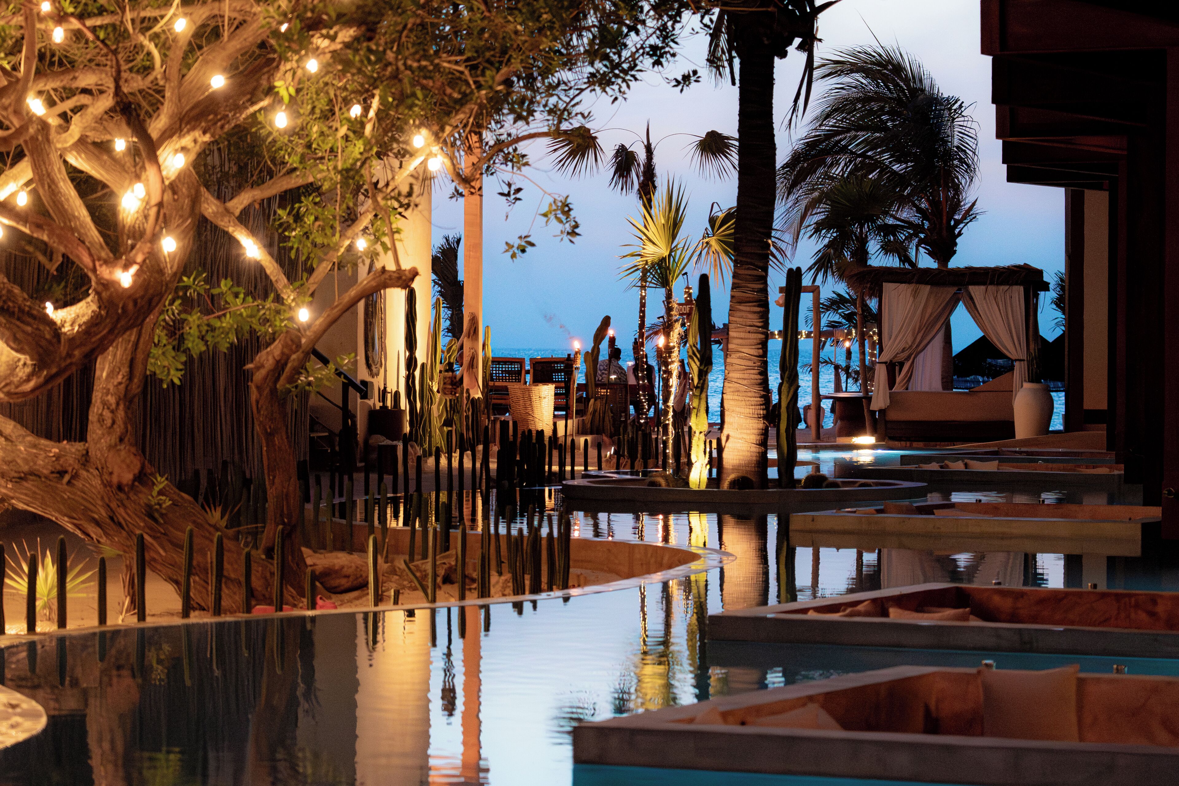 A serene pool area with a tree adorned with lights, a clear view of the pool, and a structure with a canopy.