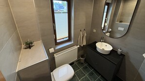 A modern bathroom with a toilet, sink, and mirror. - Ferienwohnung Berger (Penig)
