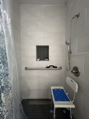 Bathroom - 1 BR Fully Handicap Accessible (Greenville)