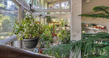 Base of Mt Elden Nest—Trails & Downtown Access