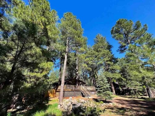 Twin Pines Cabin with Fireplace