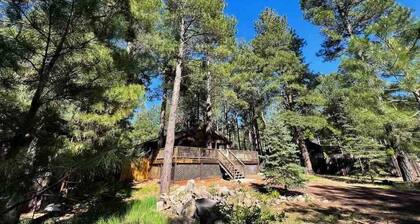 Twin Pines Cabin with Fireplace