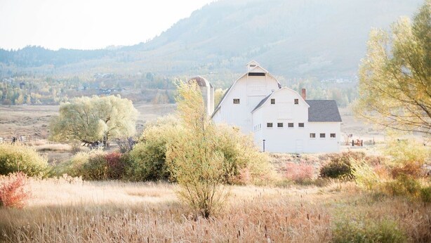 A white barn with a sloped roof, surrounded by dry grass and trees in a rural landscape. - Modern 2 bed / 2 bath condo with hot tub. 5 min to Skiing and Main St.! (Park City)